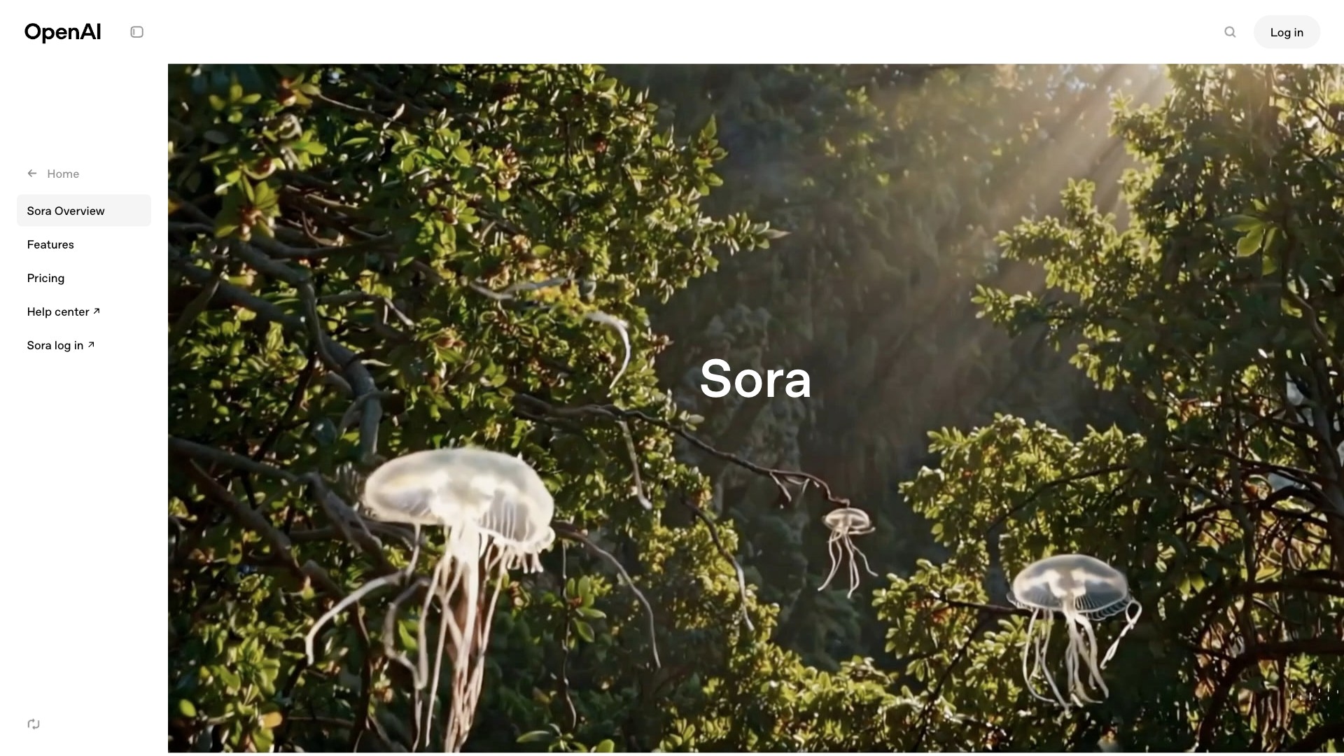 Sora screenshot